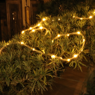 Solar Powered LED Rope String Light -LED Garden Decorative Lights Outdoor