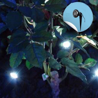Solar Flower -Pot Spotlight with Adjustable Head -LED Garden Decorative Lights Outdoor Patio Light 